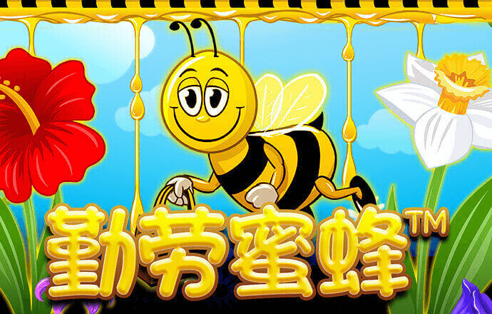 manbext体育官网app